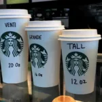 Starbucks to open first India global capability centre in Chennai, create 800 high-paying jobs