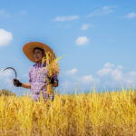 WTO members review agriculture negotiation history, discuss ways forward