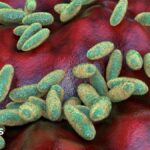 What is pneumonic plague and how does it spread?