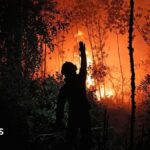 Who's to blame for the toxic smog choking South East Asia?
