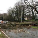 South Ribble Council charged after Paul FIddler killed by tree