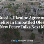 Russia, Ukraine Agree on Ceasefire in Embattled Oleshky, Plan New Peace Talks Next Month