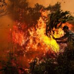 Indonesia’s wildfire smoke crisis claims over 3,500 lives in September