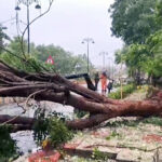 Cyclone Arnab begins landfall along Andhra Pradesh coast, IMD issues heavy rainfall warning