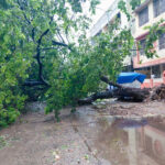 Andhra CM briefs Home Minister Amit Shah on ‘extensive damage’ caused by cyclone