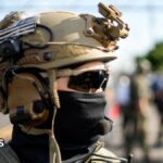 Details of thousands of US immigration agents leaked in major hack