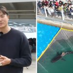 Huge crowds watch attempt to save shark stranded in South Korean canal