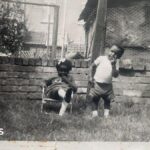 Film shares 'rich tapestry' of Windrush children's lives