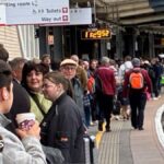 Fallen trees cause 'significant damage' to railway