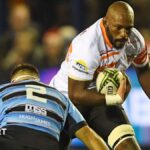 Cheetahs to play European games in Swansea