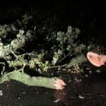 Storm Boelo hits Cumbria with roads blocked by trees and flooding