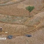 Five ways El Niño is affecting the weather around the world
