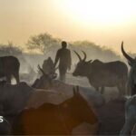 Co-ordinated cattle raids kill at least 72 people in South Sudan