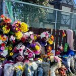 Three released without charge after fatal arson attack in Ireland
