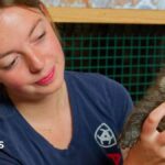 Devon otter sanctuary volunteer ‘overjoyed’ to win award
