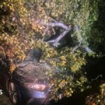 Storm Boleo sees trains cancelled and fallen trees across the West Midlands