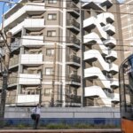 New property purchase disclosure rule in Japan sparks fears it may curb foreign investment