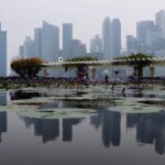 Not just about tax: why Australia’s tech entrepreneurs are moving to Singapore