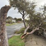 Frinton waterspout may be behind wind damage, says tornado group