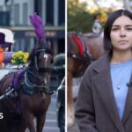 Watch: 'It's part of the culture' – New York bans horse-drawn carriages after more than 160 years