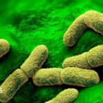 US 'watching closely' after plague researcher dies in Russia