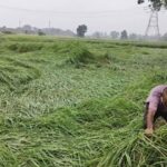 Heavy rain, thunderstorms to lash Bihar; red alert for Sitamarhi, Madhubani