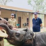 Corbett field director Saket Badola applies for VRS on ‘personal grounds’