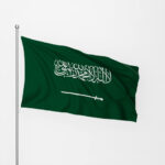 Saudi Arabia rejects Houthi claim of attack on Riyadh; Yemeni forces say they neutralised hundreds of Houthi fighters