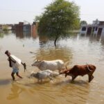 Gomti continues to recede upstream, but several areas in Lucknow remain inundated