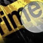 Furious over mom’s remarriage, man flies from NZ, kills stepfather
