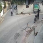 Security guard shoots stray dog dead in Lucknow's Talkatora; arrested