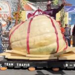 Watch: US man eyes pumpkin world record after fifth contest win