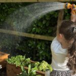 Our memorial garden helps us grieve – a cemetery felt too far away