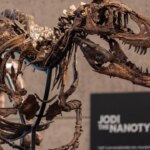 Dino skeleton that looks like mini T. rex sells for a giant US$47 million