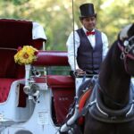 Some New Yorkers hail ban on horse-drawn carriages, but drivers fear for incomes