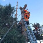Tree surgeon rescued in Loughborough after getting stuck upside down in tree