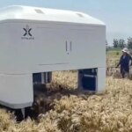 China unveils AI-powered robot designed to help farmers breed better strains of wheat