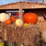 Suffolk pumpkin patch family rejects ‘worst in UK’ claim