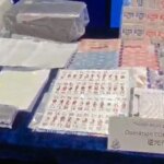 127 arrested as Hong Kong police bust Vietnamese-led loan-sharking syndicate