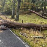 Amber wind warning issued for parts of Cumbria and North East