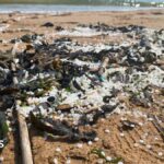 What do we still need to know about the Tyne nurdle spill?