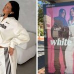 Adidas sues Australian label White Fox over four stripes design