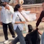 4 men held after right-wing groups threaten, assault CJP protesters in Delhi: Cops