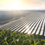 Co-sponsors of sustainability initiative advance work plan towards MC15