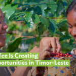 Beyond the Bean: How Coffee Is Creating New Opportunities in Timor-Leste