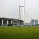 New bridge linking China and North Korea will open more than a decade late