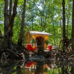 Coastal construction projects threaten the mangrove forest that protects Vietnam’s biggest city