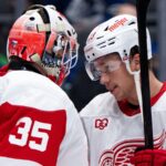 Raymond scores twice in the Red Wings' 5-2 victory over the Canucks